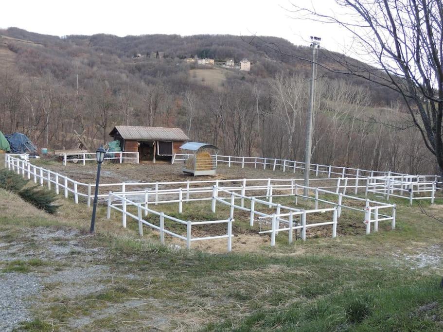 Casa Campagna Con Cavalli Pellegrino Parmense Dış mekan fotoğraf