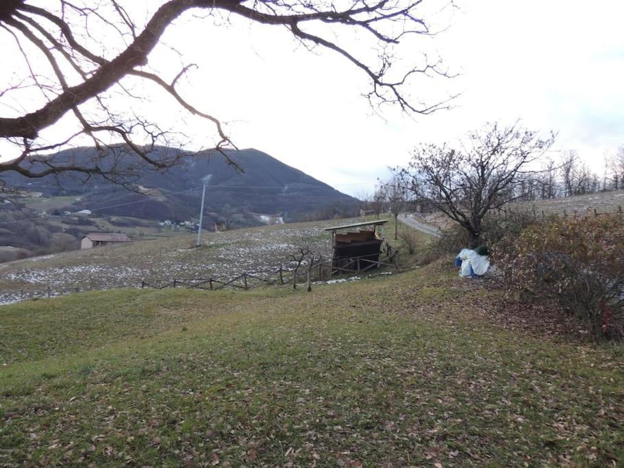 Casa Campagna Con Cavalli Pellegrino Parmense Dış mekan fotoğraf